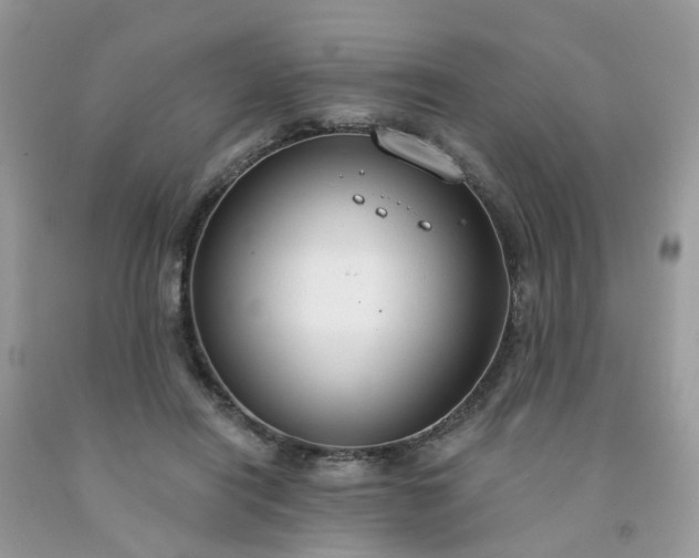 X0000091690454200709061129