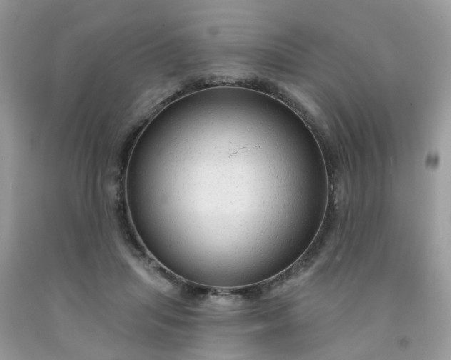 X0000091690455200709061129