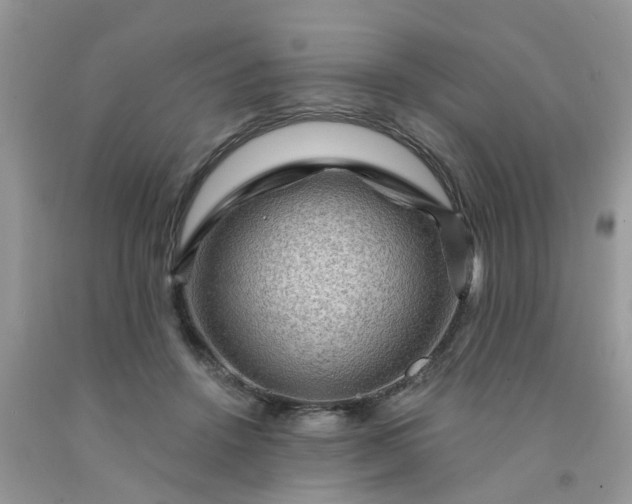 X0000091690456200709061129