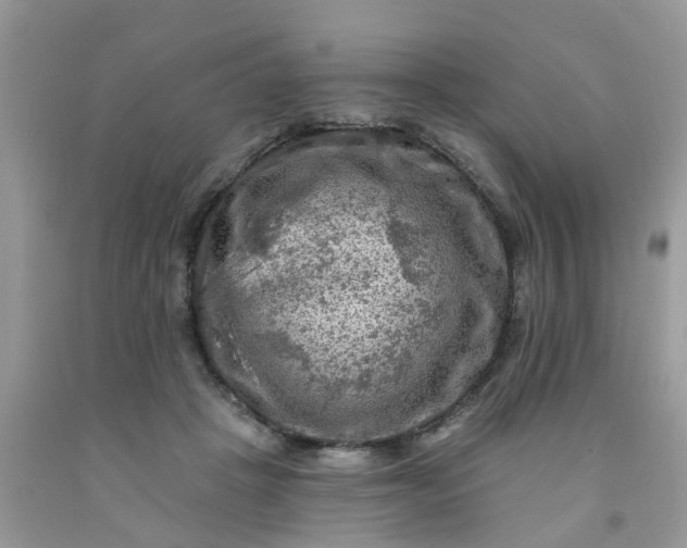 X0000091690457200709061129