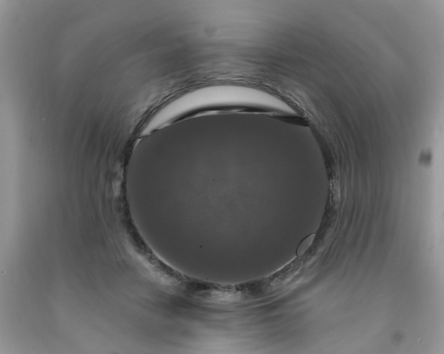 X0000091690458200709061129