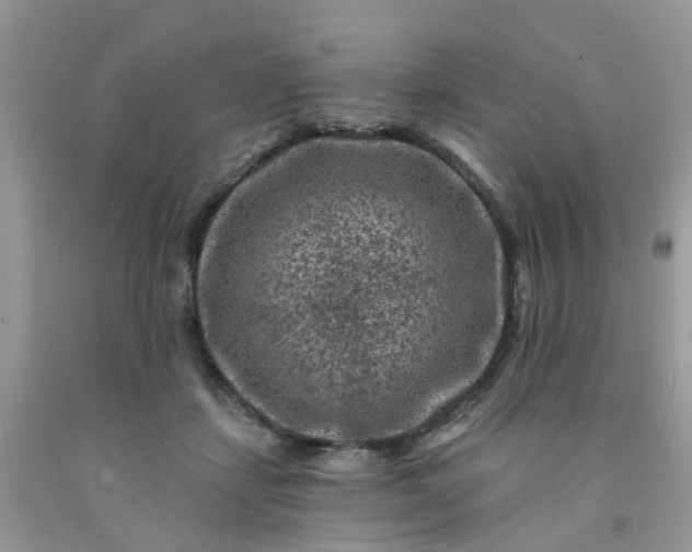 X0000091690459200709061129