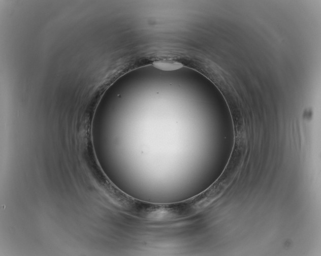 X0000091690460200709061129