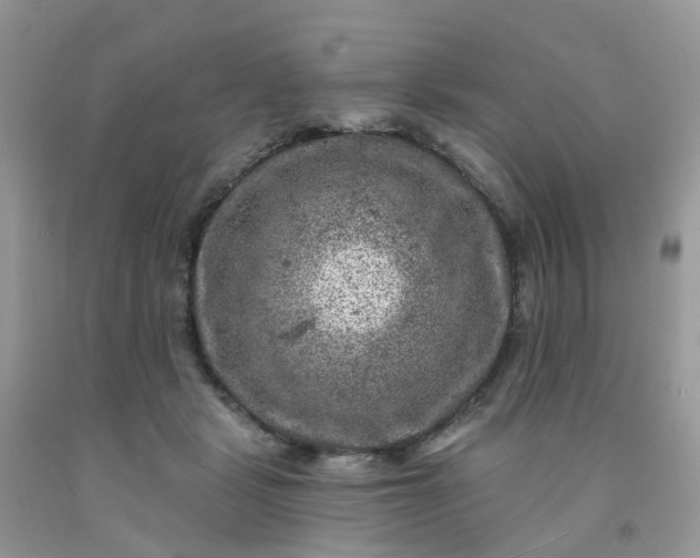 X0000091690461200709061129