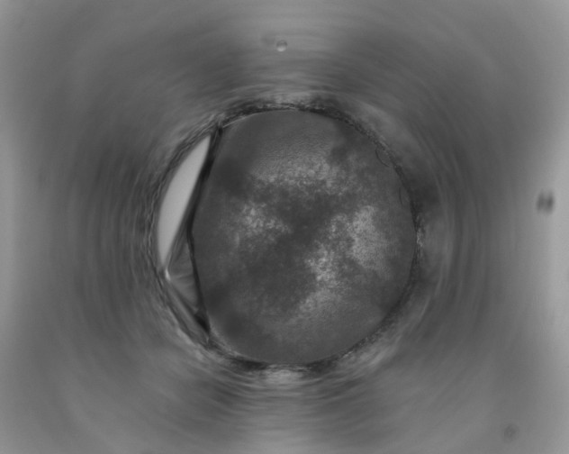 X0000091690462200709061129