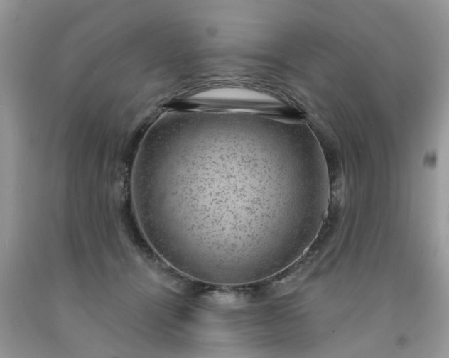 X0000091690464200709061129