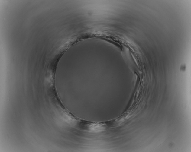 X0000091690465200709061129