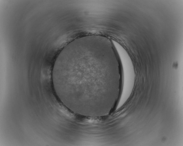 X0000091690466200709061129