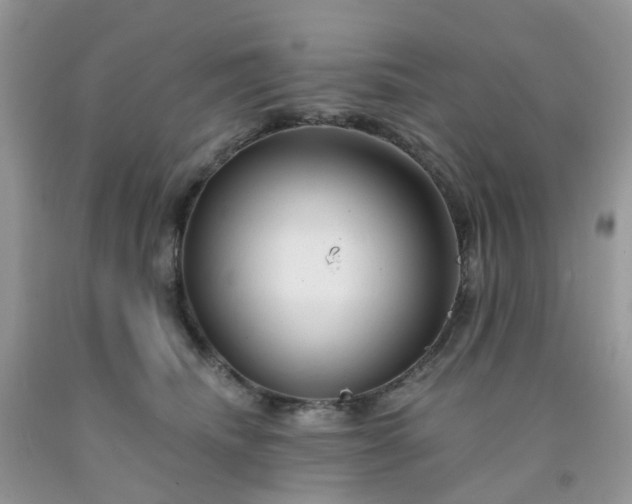 X0000091690468200709061129