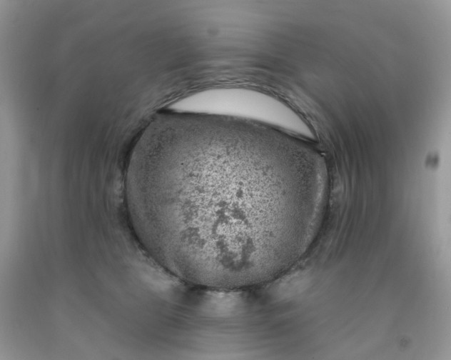 X0000091690469200709061129