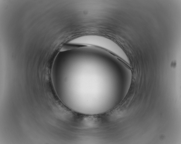 X0000091690470200709061129