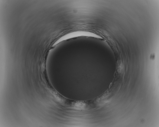 X0000091690471200709061129