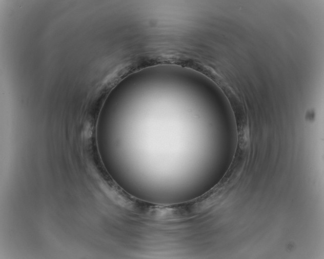 X0000091690472200709061129