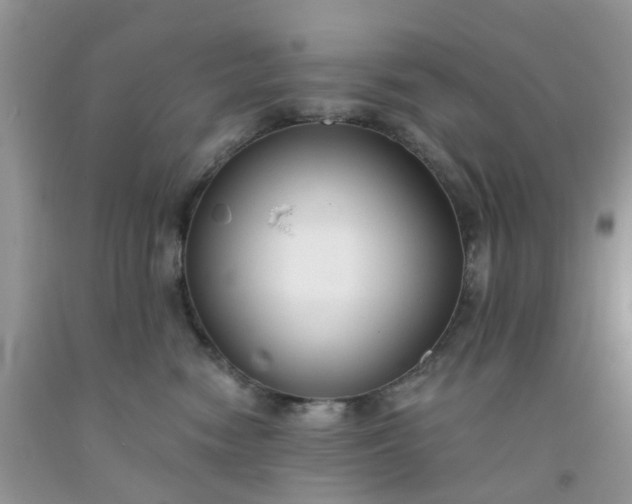 X0000091690474200709061129