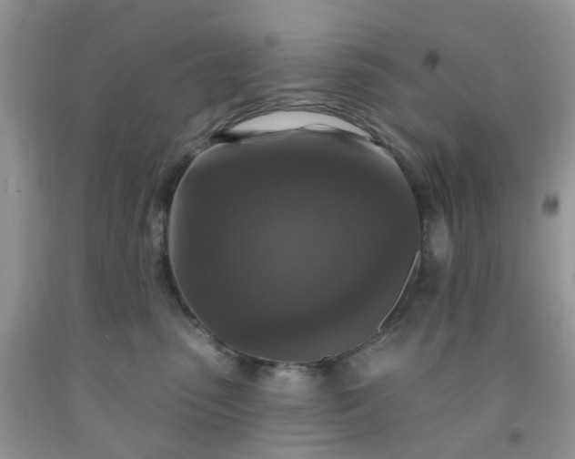 X0000091690475200709061129