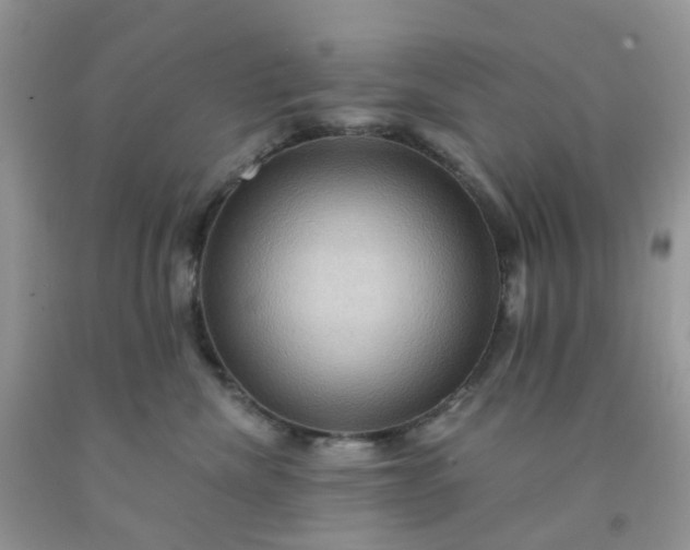 X0000091690476200709061129