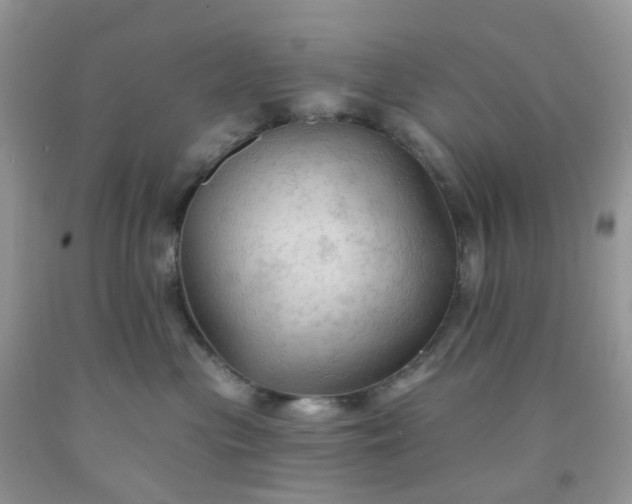 X0000091690477200709061129