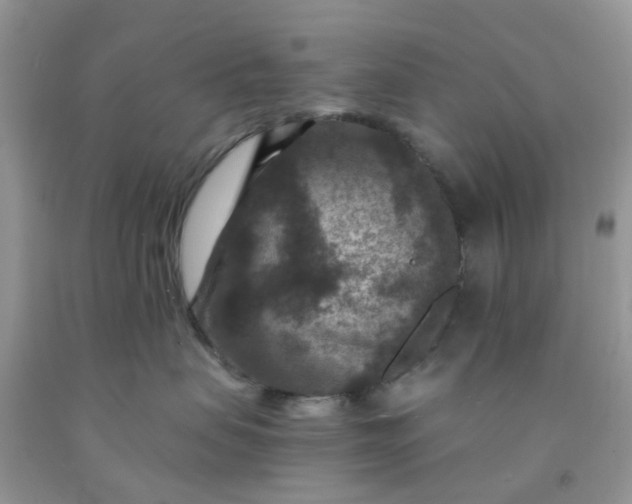 X0000091690479200709061129