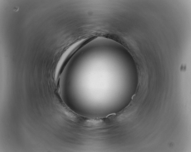 X0000091690480200709061129