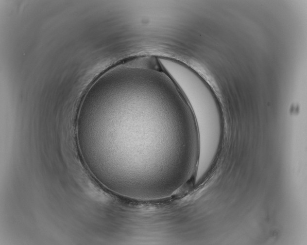 X0000091690481200709061128