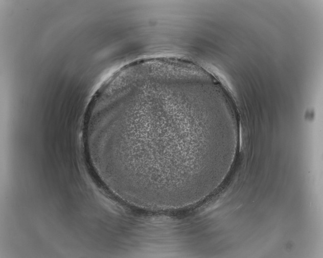 X0000091690483200709061128