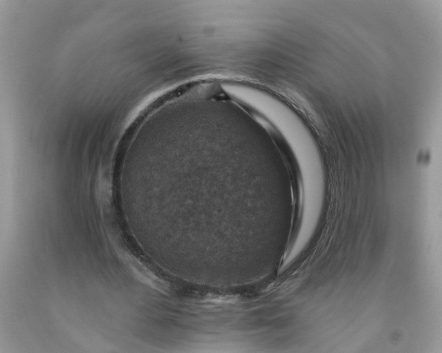 X0000091690484200709061128