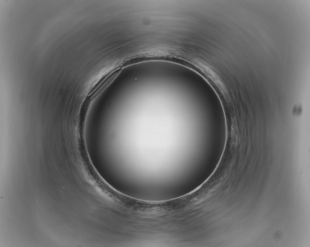 X0000091690485200709061128