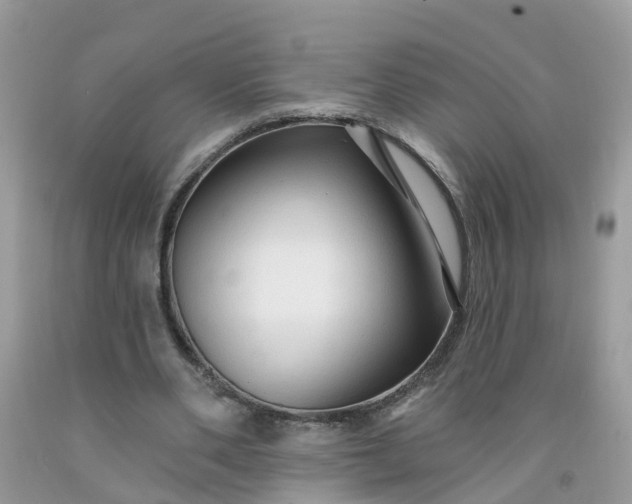 X0000091690486200709061128