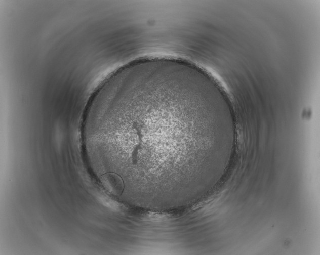 X0000091690487200709061128