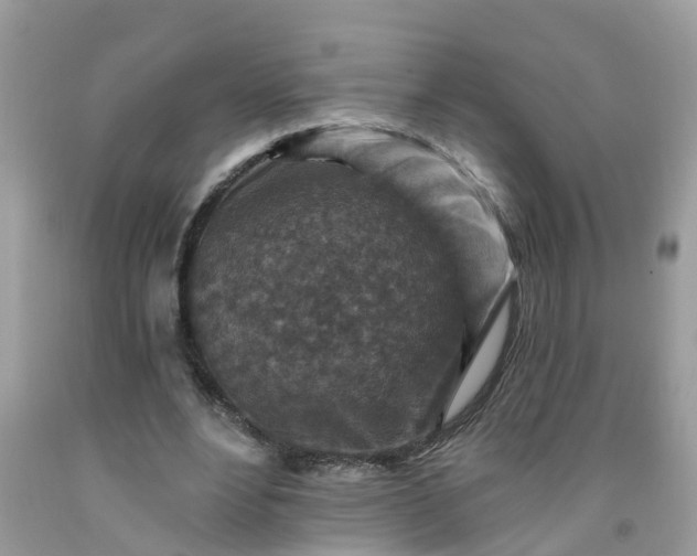 X0000091690488200709061128