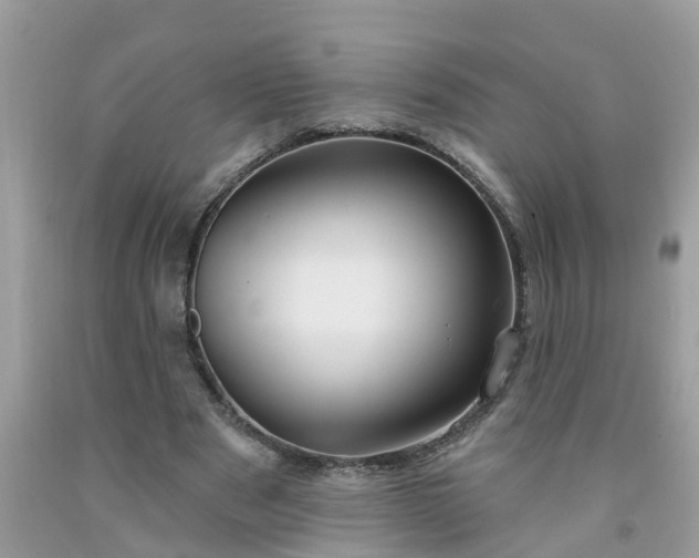 X0000091690489200709061128