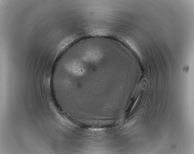 X0000091690491200709061128