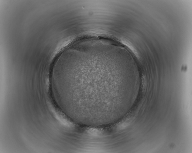 X0000091690494200709061128