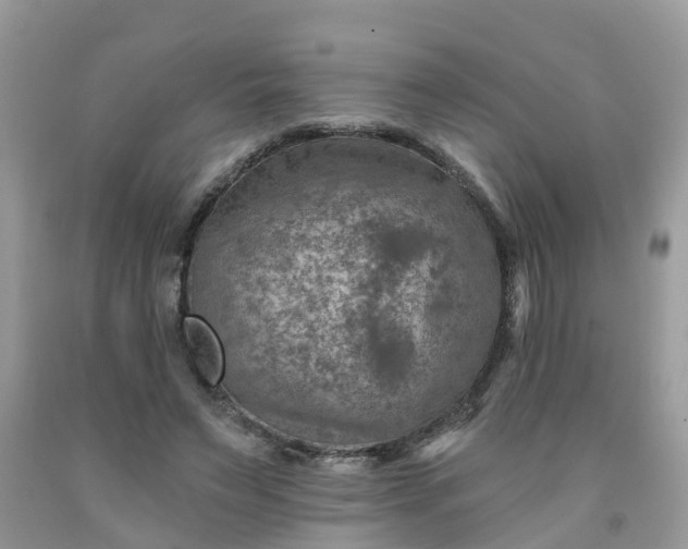 X0000091690495200709061128