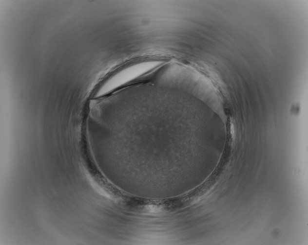 X0000091690496200709061128