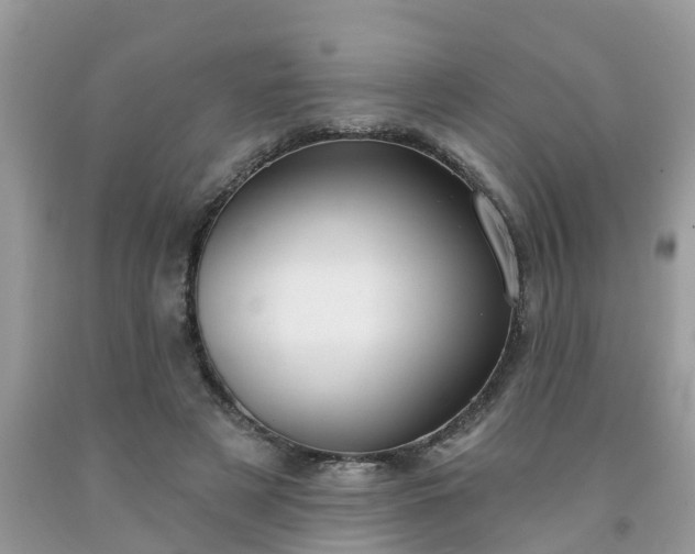 X0000091690497200709061128