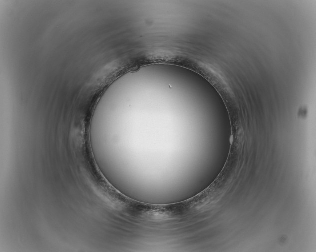 X0000091690498200709061128