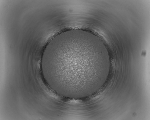 X0000091690499200709061128