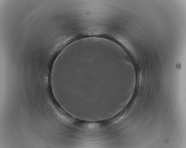 X0000091690501200709061128