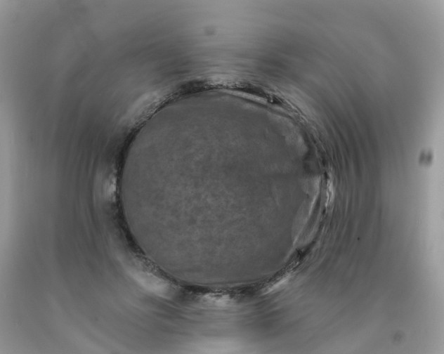 X0000091690502200709061128