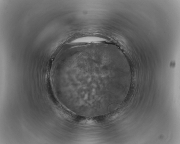 X0000091690503200709061128