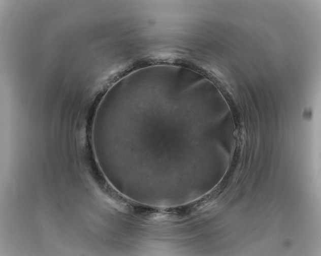 X0000091690504200709061128