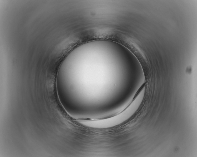 X0000091690505200709061128