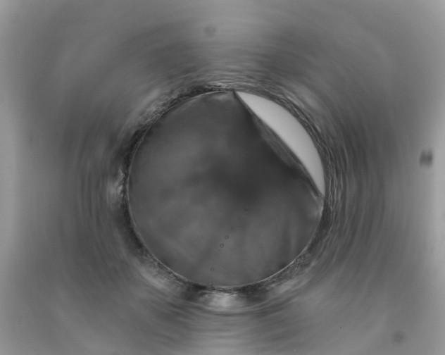 X0000091690507200709061128