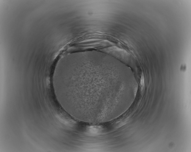 X0000091690508200709061128