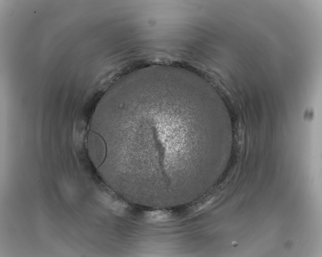 X0000091690511200709061128