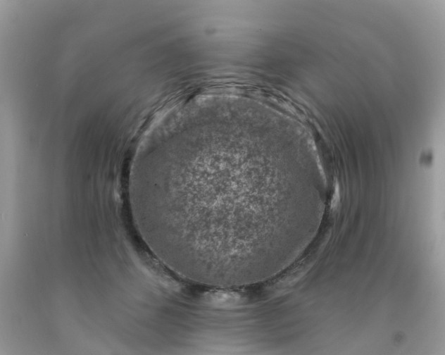 X0000091690512200709061128