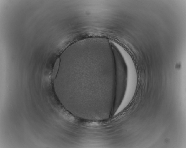 X0000091690513200709061128