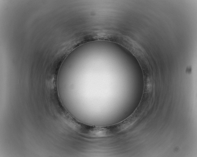 X0000091690514200709061128