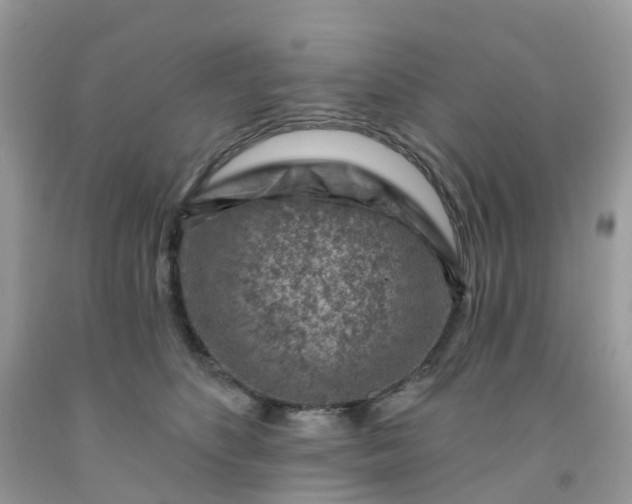 X0000091690516200709061128